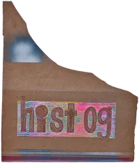 Hist og